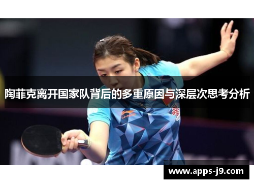 陶菲克离开国家队背后的多重原因与深层次思考分析