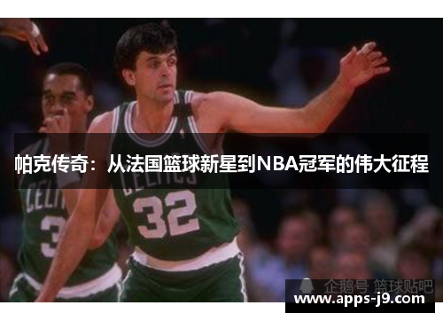 帕克传奇：从法国篮球新星到NBA冠军的伟大征程