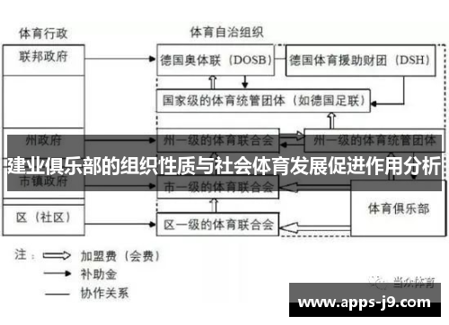 建业俱乐部的组织性质与社会体育发展促进作用分析