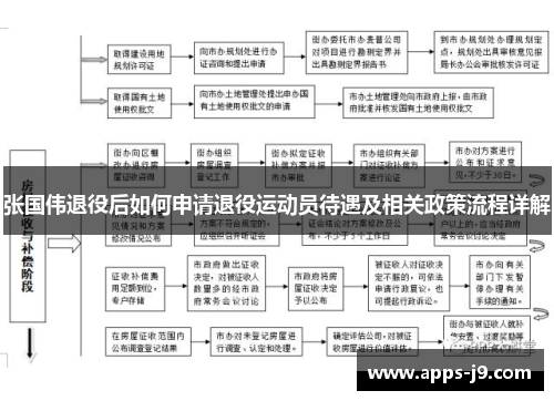 张国伟退役后如何申请退役运动员待遇及相关政策流程详解