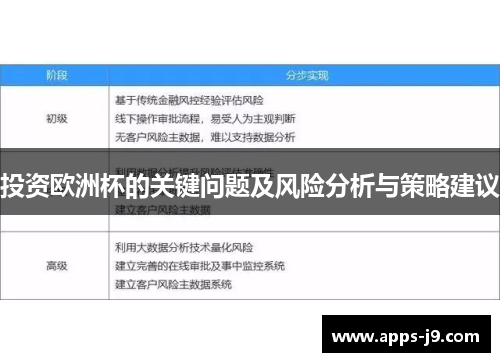 投资欧洲杯的关键问题及风险分析与策略建议